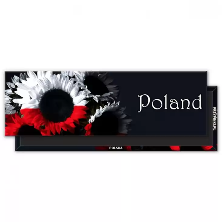 magnes 115x37mm Poland 