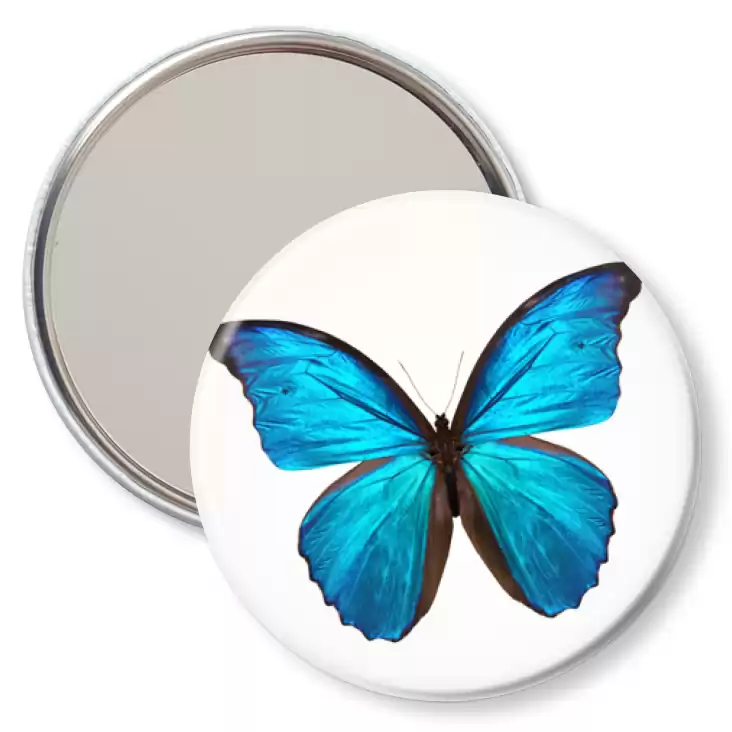 przypinka lusterko Motyl modraszek