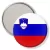 Przypinka lusterko Flaga Słowenia