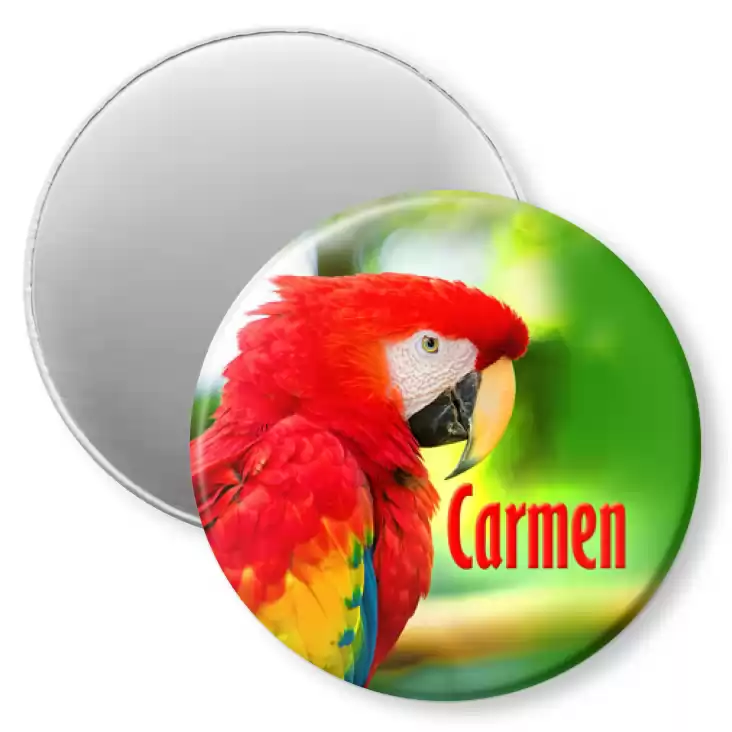 przypinka magnes Papugarnia Carmen