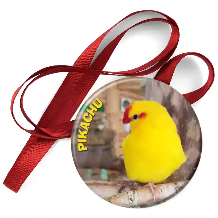 przypinka medal Papugarnia Mazury Pikachu