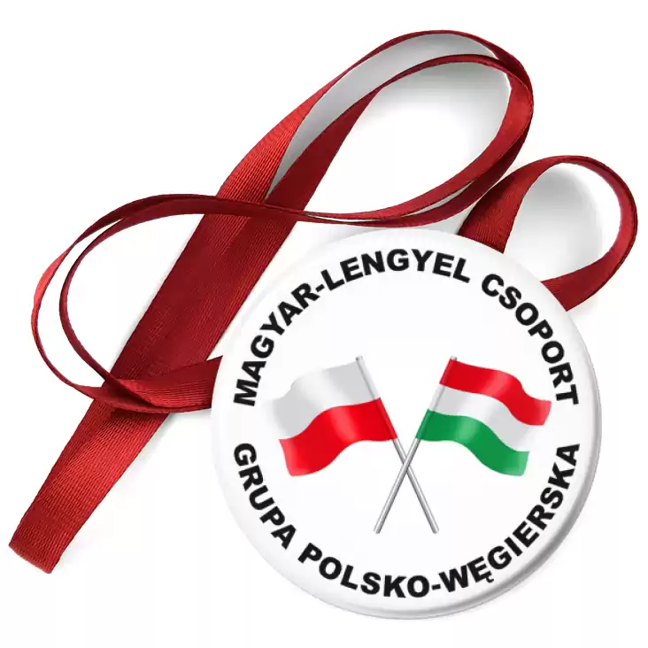 przypinka medal Grupa Polsko-Węgierska
