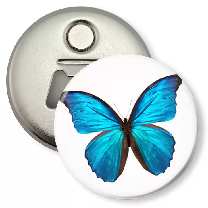 przypinka otwieracz-magnes Motyl modraszek