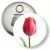 Przypinka otwieracz-magnes Tulipan