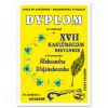 dyplom Kaszubskie Dyktando 2018