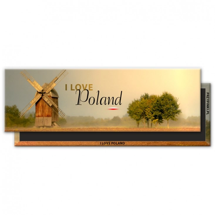 magnes 115x37mmPoland