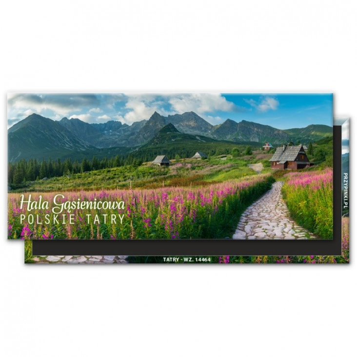 magnes 120x54mmHala Gąsienicowa