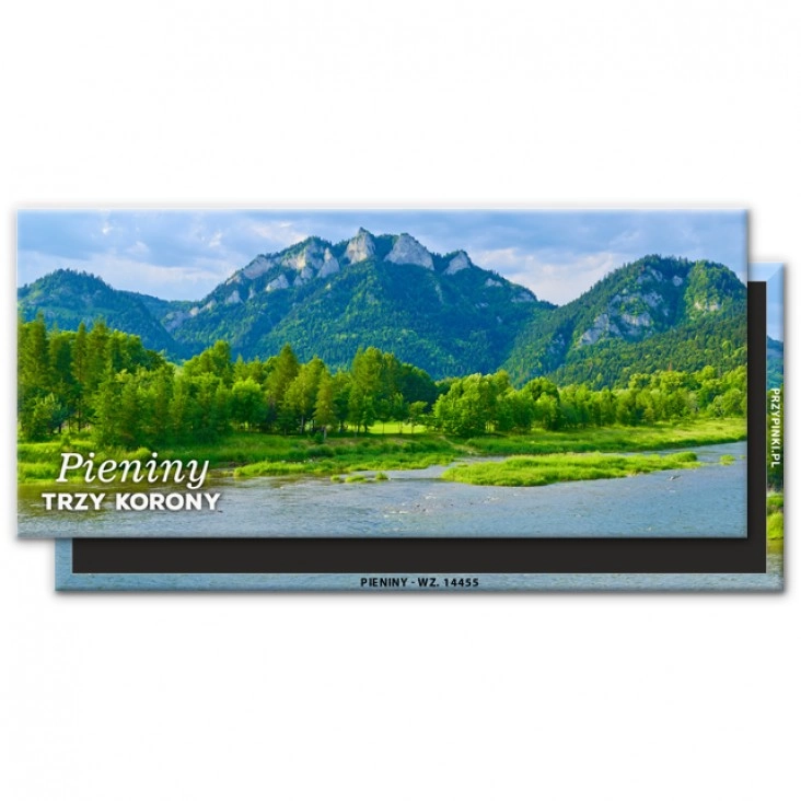 magnes 120x54mmPieniny