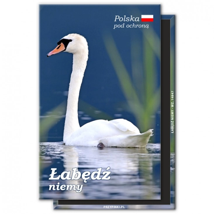 magnes 120x75mmŁabędź niemy