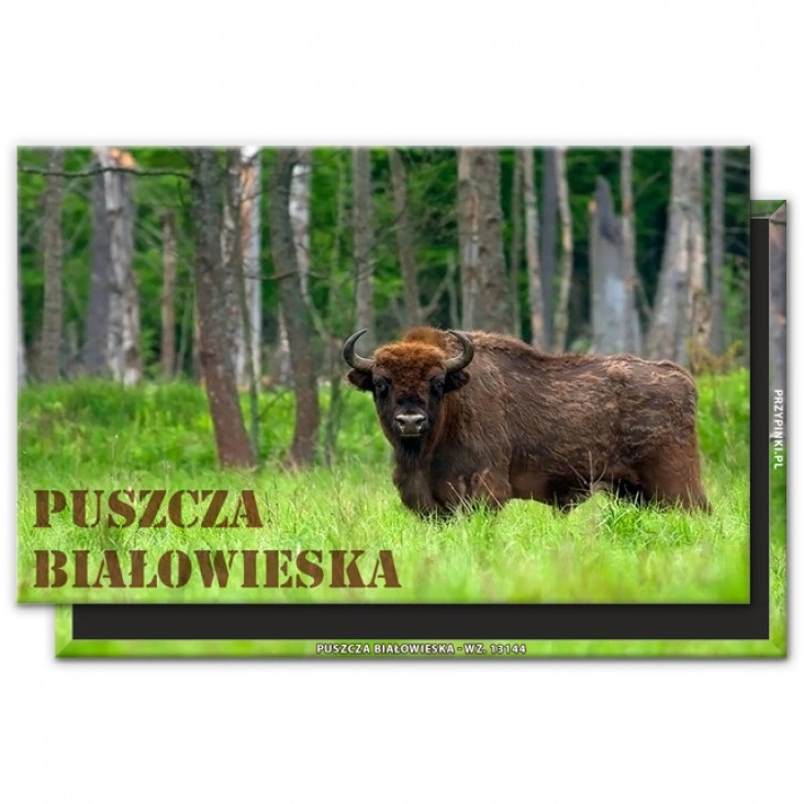 magnes 120x75mm Puszcza Białowieska 