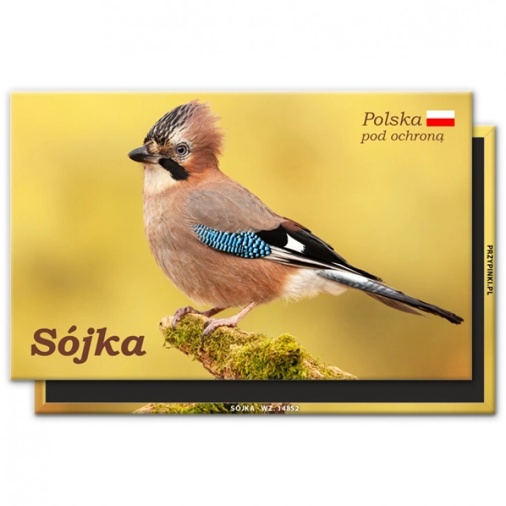 magnes 120x75mmSójka