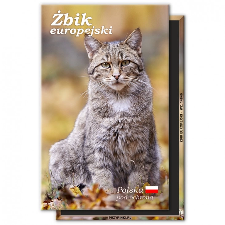 magnes 120x75mmŻbik europejski
