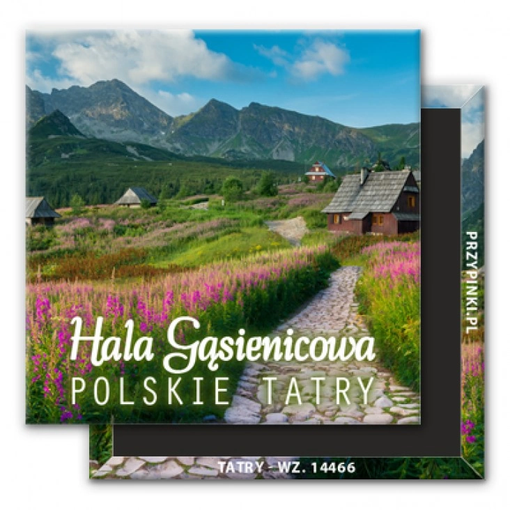 magnes 50x50mmHala Gąsienicowa