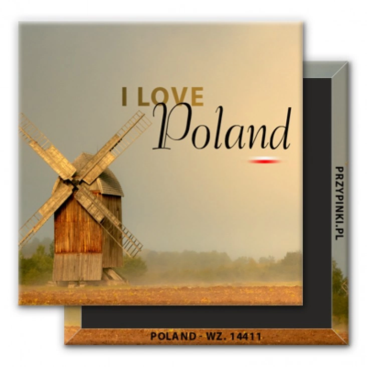 magnes 50x50mmPoland