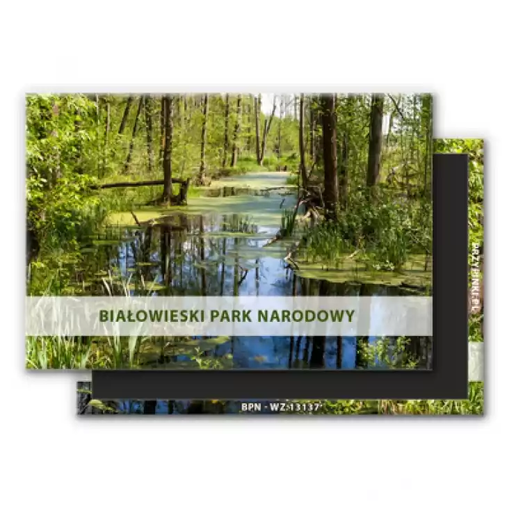 magnes 78x53mm Białowieski Park Narodowy