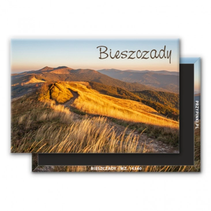 magnes 78x53mmBieszczady