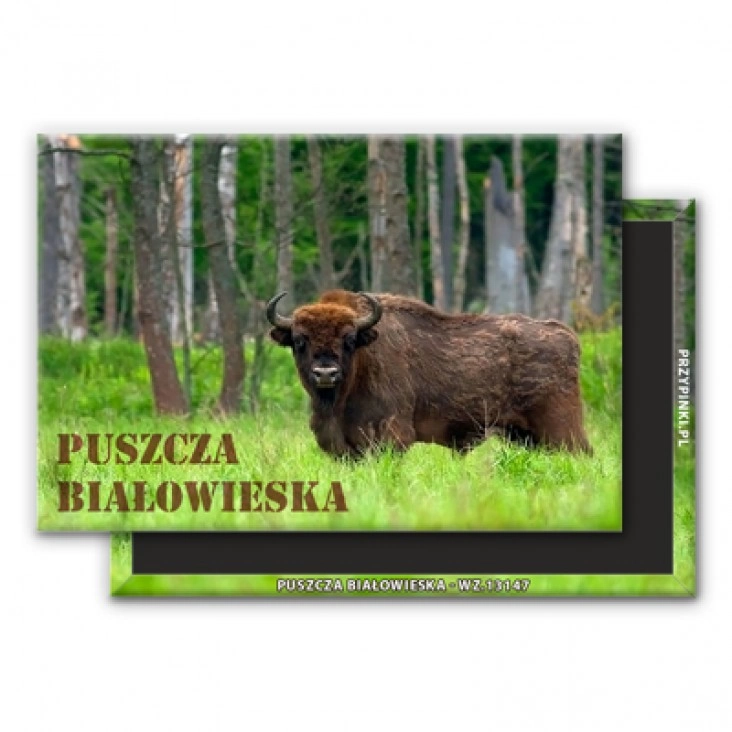magnes 78x53mmPuszcza Białowieska