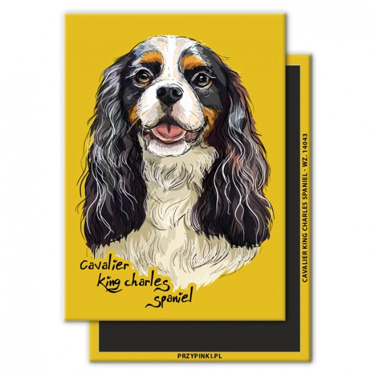 magnes 90x65mm Cavalier king charles spaniel