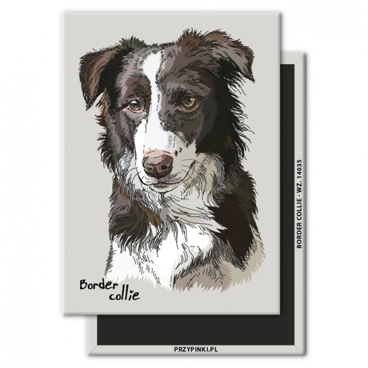 magnes 90x65mm Border collie