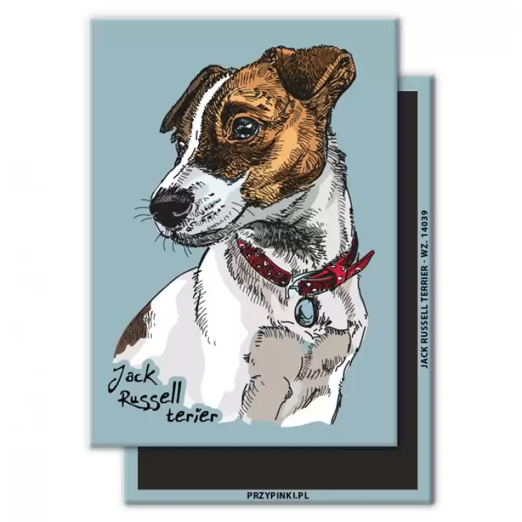 magnes 90x65mm Jack Russell terrier