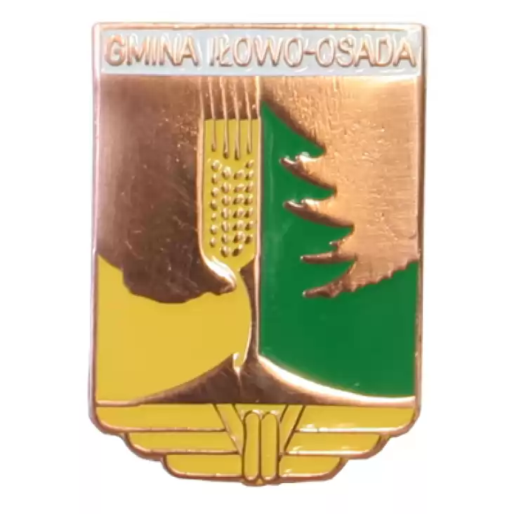 pins Gmina Iłowo-Osada