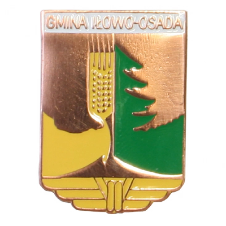 pins Gmina Iłowo-Osada