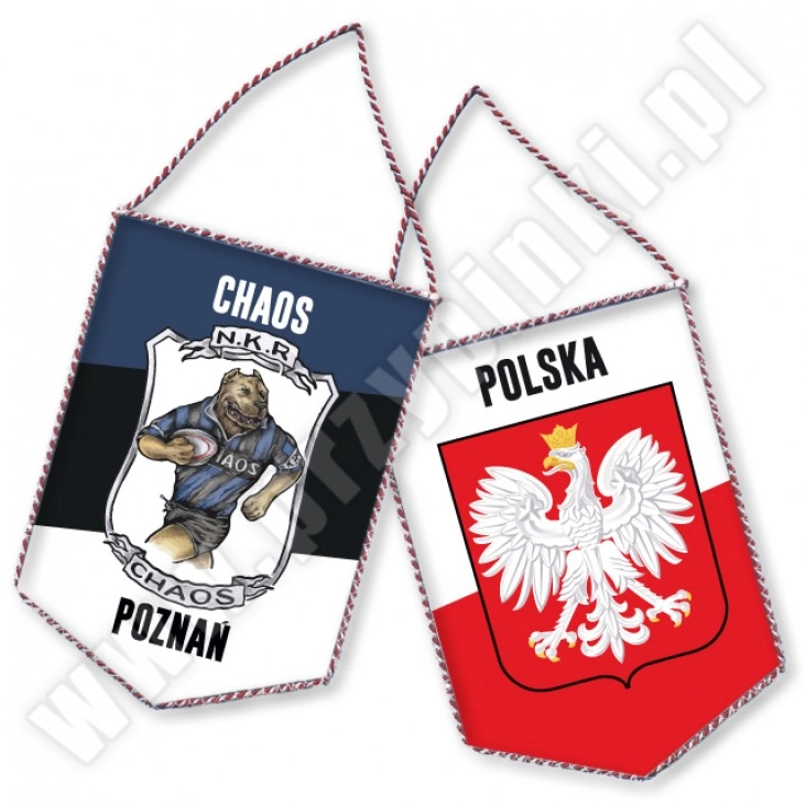 proporczykChaos Poznań
