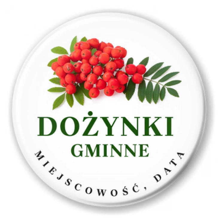 przypinka Dożynki Gminne jarzębina