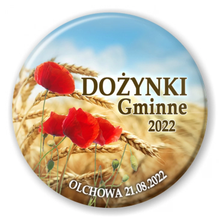 przypinka Dożynki Gminne Olchowa 2022