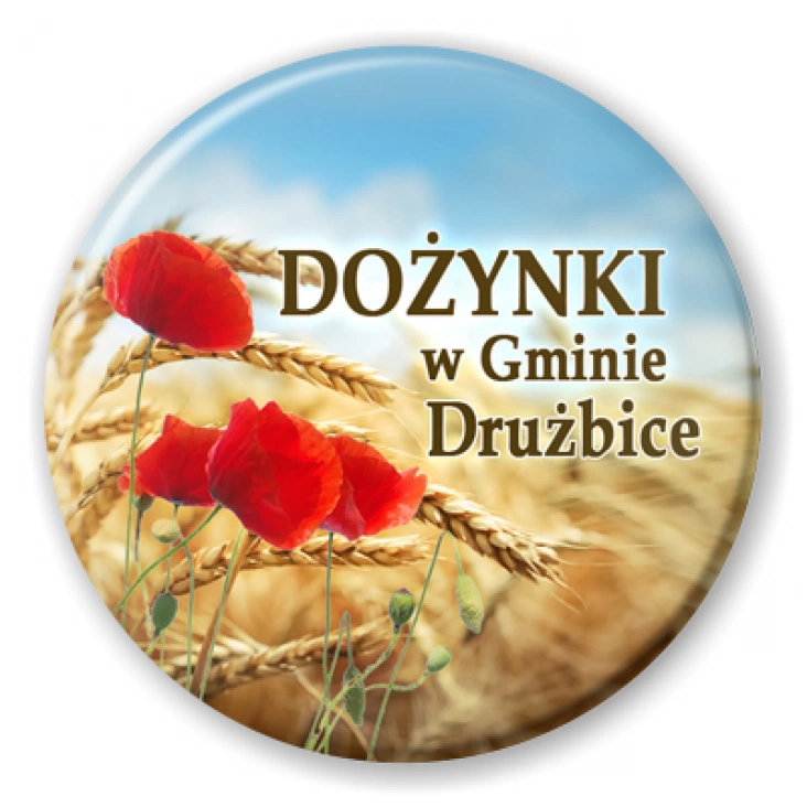 przypinka Dożynki w Gminie Drużbice