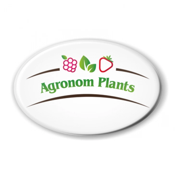 przypinka elipsa Agronom Plants