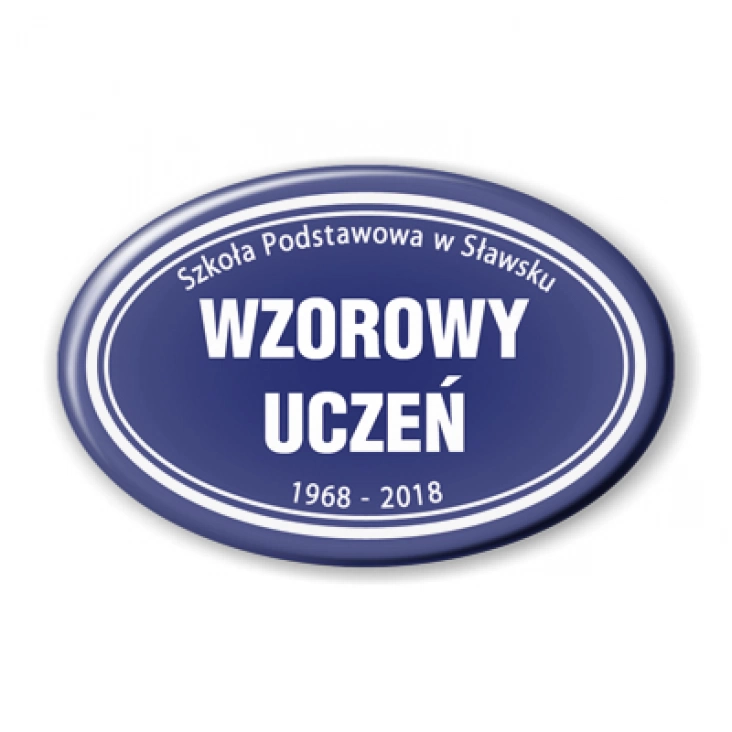 przypinka elipsa Wzorowy Uczeń