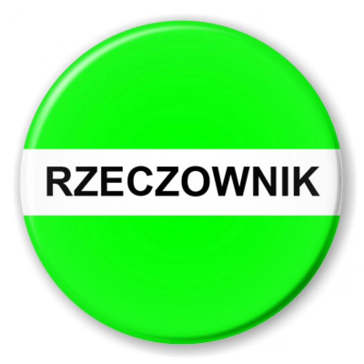 przypinka Gramatyka rzeczownik