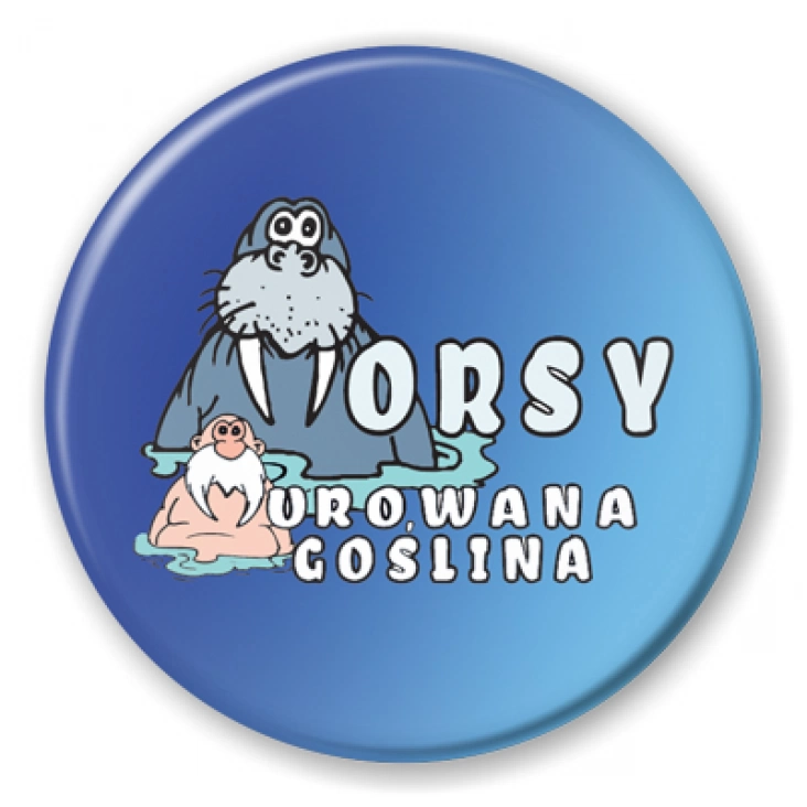 przypinka Morsy Murowana Goślina