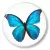 przypinka Motyl modraszek