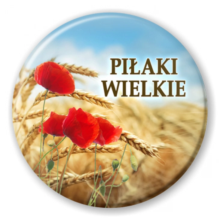 przypinka Piłaki Wielkie