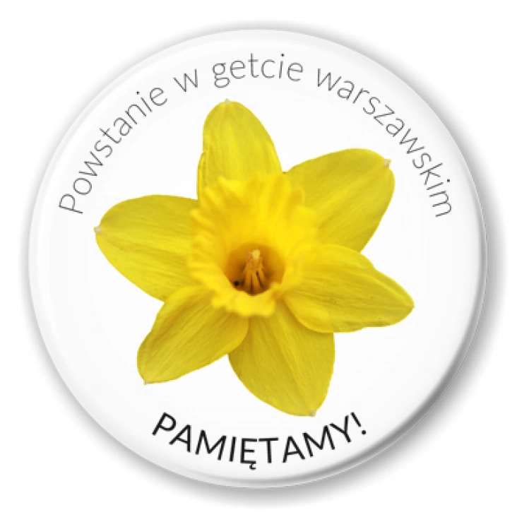 przypinka Powstanie w getcie warszawskim Pamiętamy