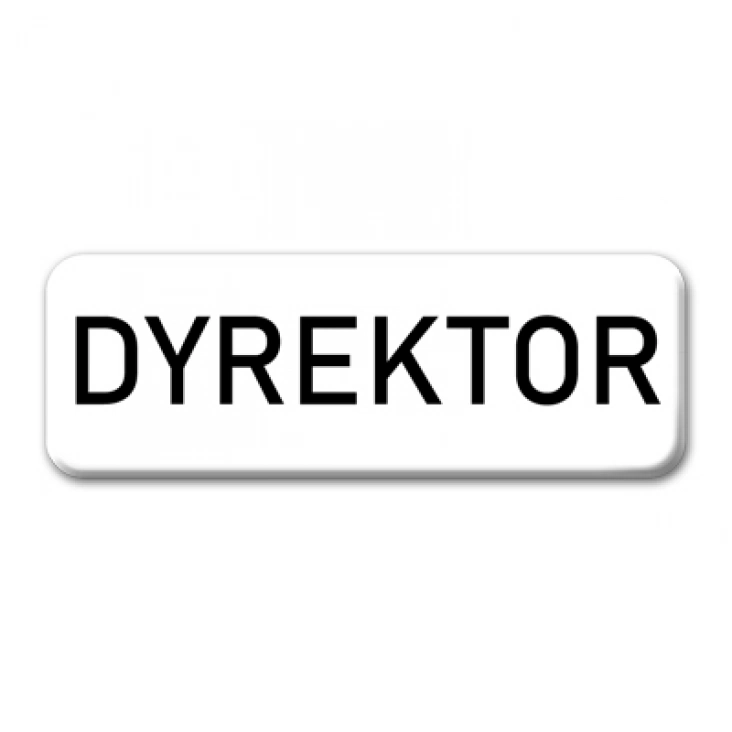 przypinka prostokątDyrektor
