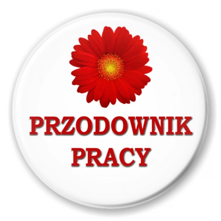 przypinka Przodownik pracy