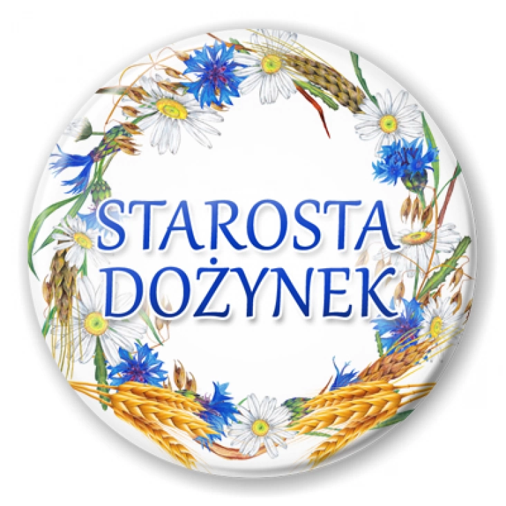 przypinka Starosta dożynek wieniec z chabrami