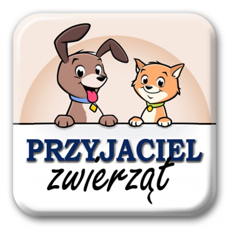 przypinka kwadrat Przyjaciel zwierząt kot i pies