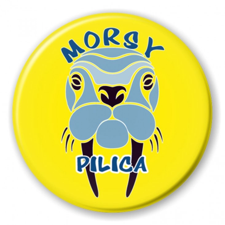 przypinka Morsy Pilica