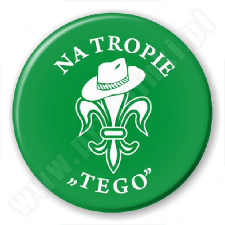 przypinka Na tropie TEGO