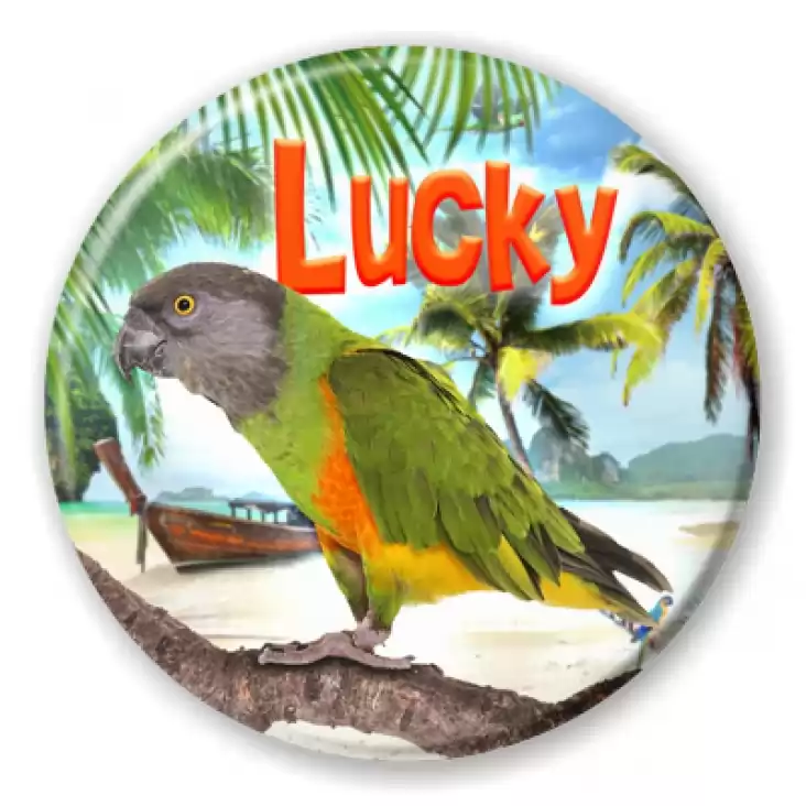 przypinka Papugarnia Carmen - Lucky