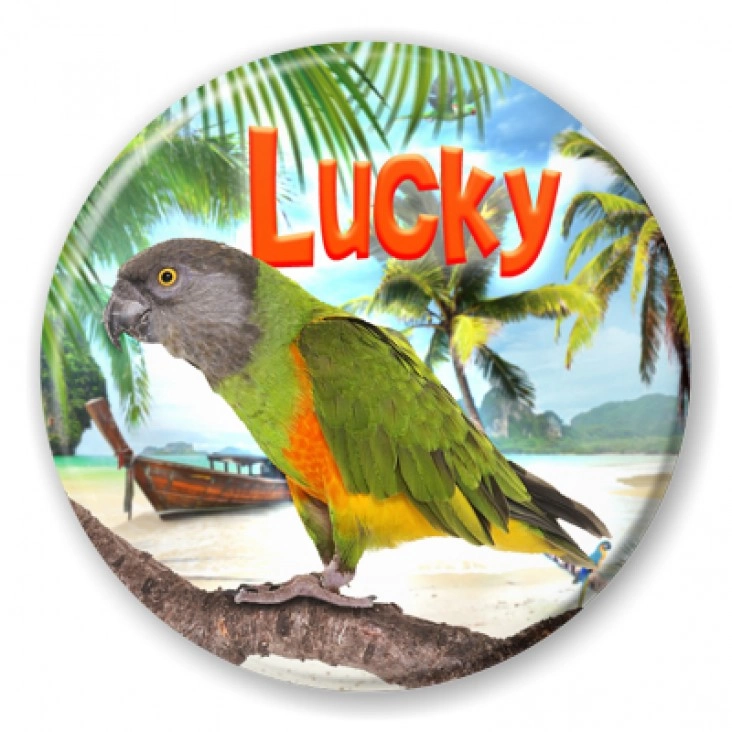przypinka Papugarnia Carmen - Lucky