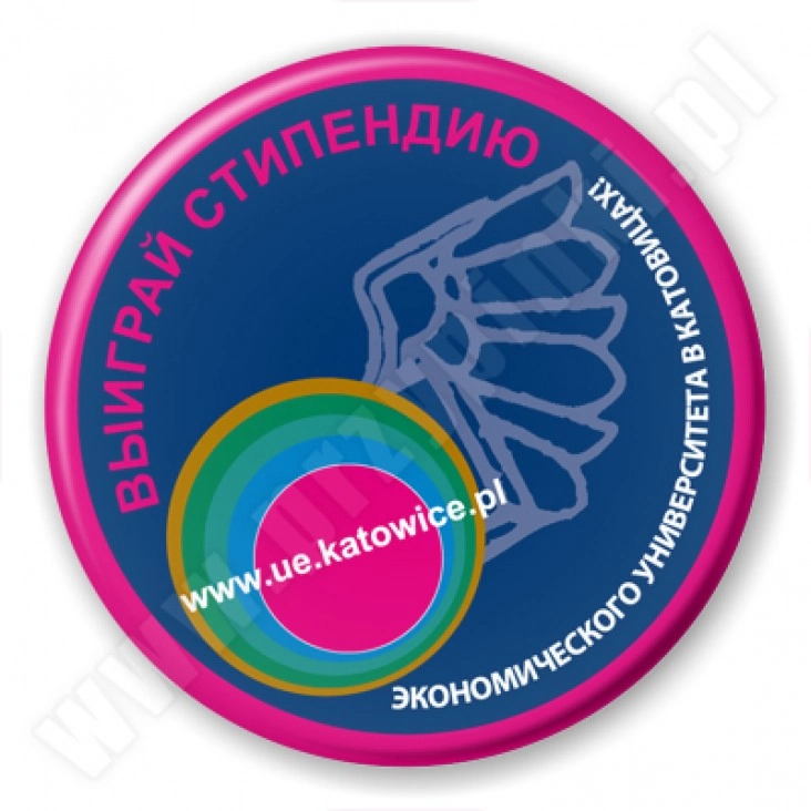 przypinka UE w Katowicach - Rekrutacja 2012