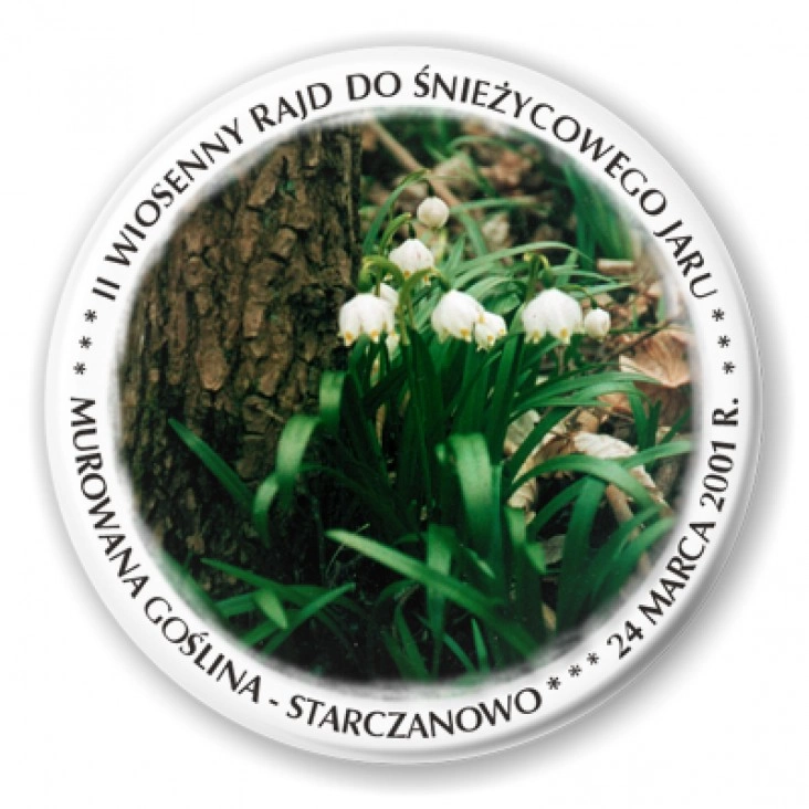 przypinka II Wiosenny Rajd do Śniezycowego Jaru 