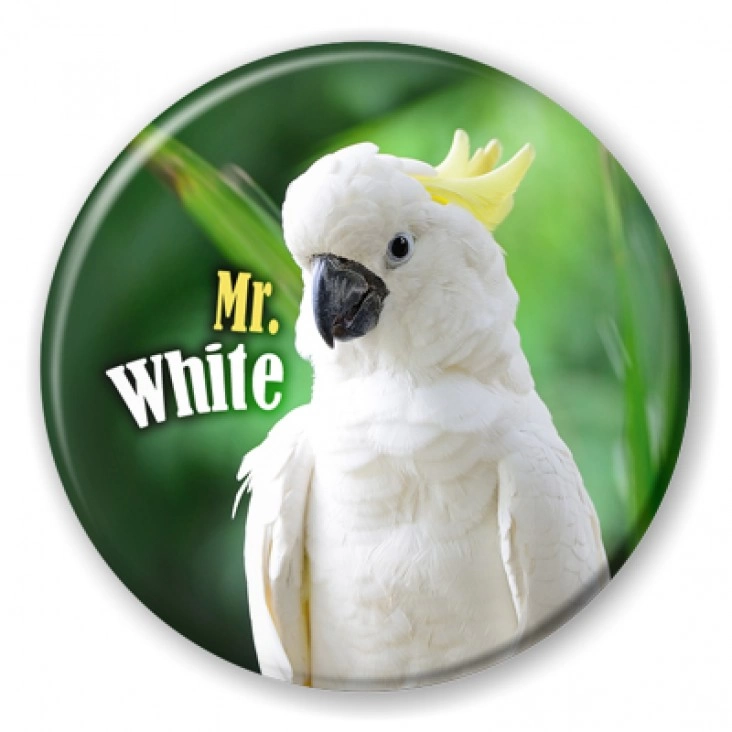 przypinka Papugarnia Carmen - Mr. White