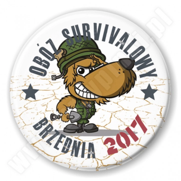 przypinka Brzednia 2017