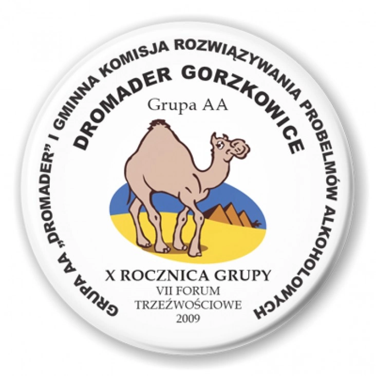 przypinka Grupa AA DROMADER